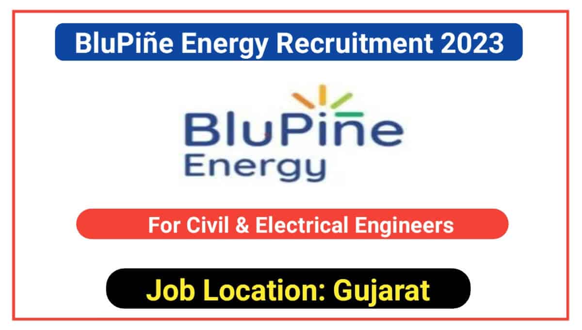 BluPiñe Energy Recruitment 2023