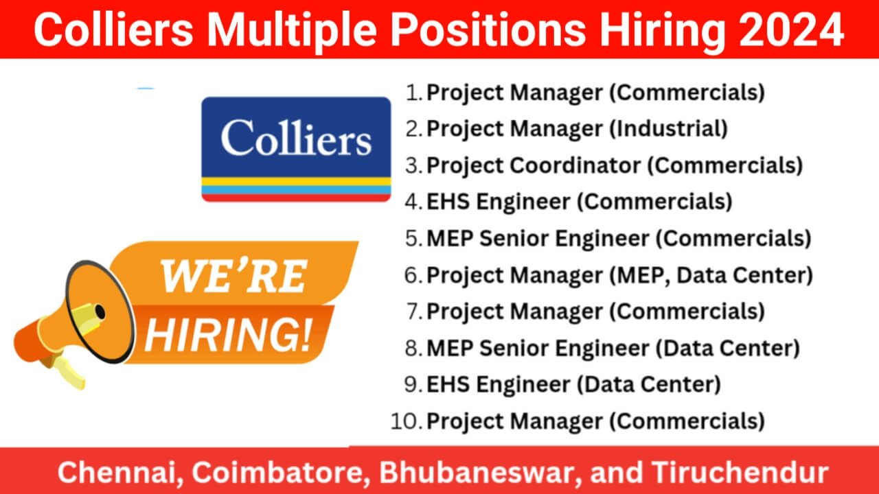 Colliers Multiple Positions Hiring 2024