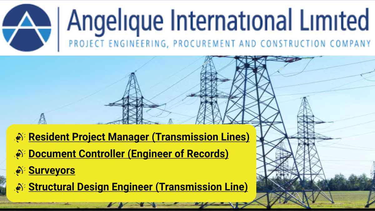 Angelique International Power Transmission Jobs | Project Engineering Jobs in India