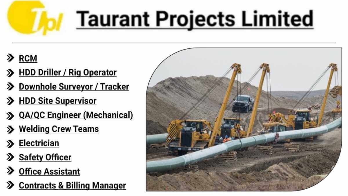 w 2025 11 19T074841.261