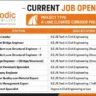 Rodic Mobility Recruitment 2026 | Highway, Bridge & Structural Engineer Jobs | Chennai Elevated Corridor Project