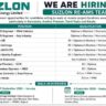 Suzlon Energy Recruitment 2026 – 11 Job Vacancies for Remote Project Locations Across India